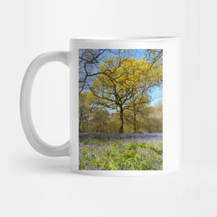 Bluebell Wood Mug